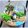 Hanging Glass Globe Ball Plant Glass Terrarium